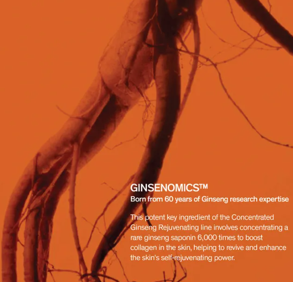 Sulwhasoo Concentrated Ginseng Rejuvenating Cream 50ml