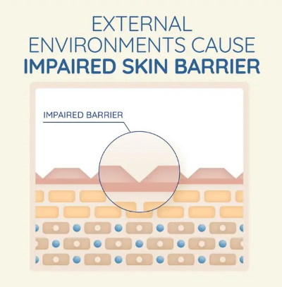 Aveeno Skin Relief Fragrance Free Moisturising Body Lotion 1L