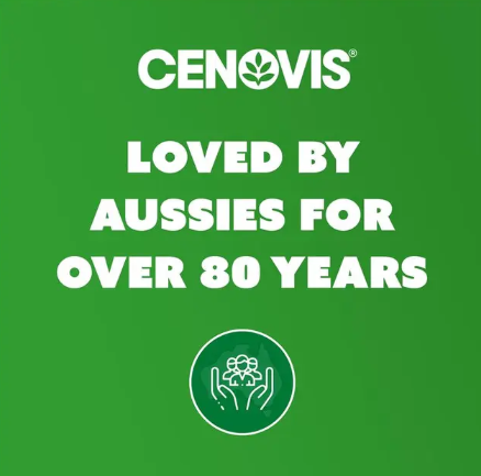 Cenovis Chewable Mega Vitamin C 1000mg Berry 120 Tablets Exclusive Size